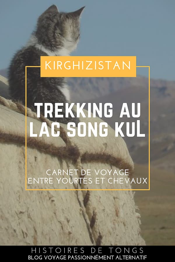 Trek autour du lac Song Kul, une aventure entre yourtes et chevaux sur les hauteurs du Kirghizistan | Histoires de tongs, le blog voyage passionnément alternatif